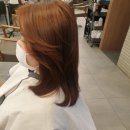 리안헤어탄현제니스점