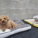 멍 핏 스튜디오 이미지