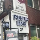 푸니토
