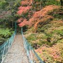 산좋고물좋고 이미지