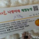 제주나영이네농장