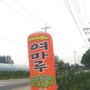 삼강주유소 이미지