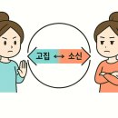 신강상사 | 말 드럽게 안 듣는 사주 구성 - 고집 센 사주의 특징