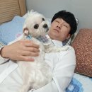 후니피자 네이버블로그