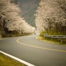 섬진강낚시 이미지