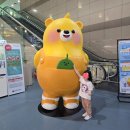 만3세 아이와 후쿠오카+뱃부 여행 1 [김해국제공항, 면세품 수령, 아이와 여행시 필수템, 후쿠오카 대한...
