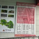 봉양 | 의성 한우 맛집 봉양한우마실작목회 다녀온 후기