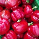 와와영농조합법인 이미지