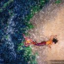 자민환경 이미지