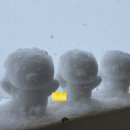 빌라상회 이미지