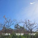 대청호코스 | 2024 대청호 마라톤대회 / 10km 미니코스 완주 후기