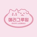메리그루밍 이미지