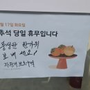 자전거보호구역8142