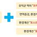 앤약국 이미지