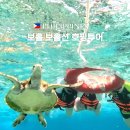 샤인 | 보홀 호핑투어 예약 보홀션 샤인호핑 후기 스노쿨링 장비 무료