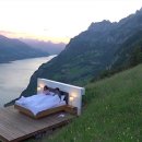 호텔 초원 이미지