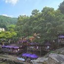 장흥식당 | 경기도 계곡 맛집 추천ㅣ양주 장흥폭포수식당 내돈내산 후기