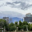 보광농장 | 조식 대신 딱 청초호 근처 분식집 속초 김밥 맛집 정이네김밥