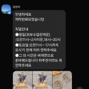 블루밍 플라워 앤 가든 네이버블로그