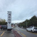 미향반찬 | 제주 중문 갈치요리 맛집 제주미향 갈치조림 통갈치구이 후기