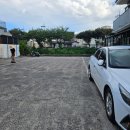 골막식당 | 제주도 맛집 제주 고기국수 맛집 혼밥 가능 골막식당 후기