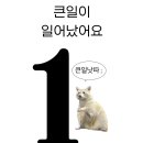 강일중학교 | [ADsP] 46회 시험 시작부터 끝까지(사실 아직 끝 아님)
