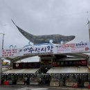일출수산 | 주문진횟집 일출횟집 수산시장 포장 후기