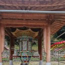 사랑의연리근 | #응진전삼층석탑#천불전#용화당#나미아비타물#대흥사단풍길#특이한나무#보호수#연리근#운장대란#루리jse