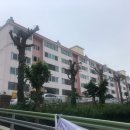 행하길 8 이미지