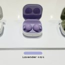 버즈 - 마포구 와우산로 51 | 버즈