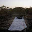 두라농장 이미지