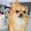 담은동물병원 이미지