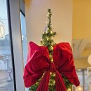 석봉초교 | 대전 신탄진 가볼만한곳 코코노빵야 소금빵 &amp;대청호 아침 산책 여행 코스 추천