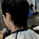 헤븐헤어 - 영암군 | 나의 최애 헤어 꿀단지 발견! 부천미용실 ZS헤어살롱 헤븐부천점 솔직 후기