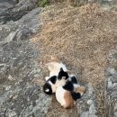 오동동115 이미지