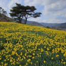 우림해양개발(주) 이미지