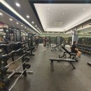 핏불 피트니스 이미지