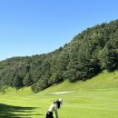 큐이디 골프 이미지