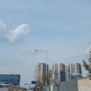 스마터삽