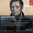 대상체르니 이미지