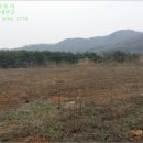 대덕피에스디(주) 이미지