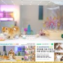 그루밍캐터리 이미지