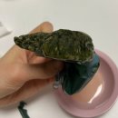 파파공방 현미 밥알쑥떡 첫구매 500원 내돈내산 후기