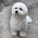 주주클럽 이미지