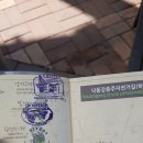 멕코이반점