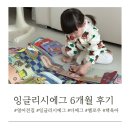 아기 첫 영어전집 잉글리시에그 디에그 옐로우 6개월 후기
