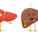 건강드림약국 이미지