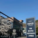 수입잡화 | 파주 롯데아울렛 근처 카페 수입그릇까지 둘러본 후기