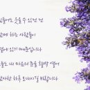 [출석부]2025.12.21일요일 이미지