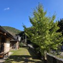 경주 한옥 독채 구토란 펜션 후기, 여자 2명 바베큐 즐기기